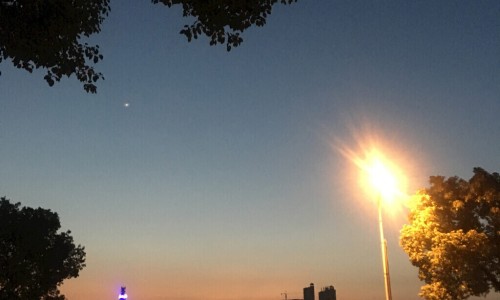 中药里面有活虫子网 - 网站提供中药里面有虫子是怎么回事小常识、中药里面有活虫子怎么办