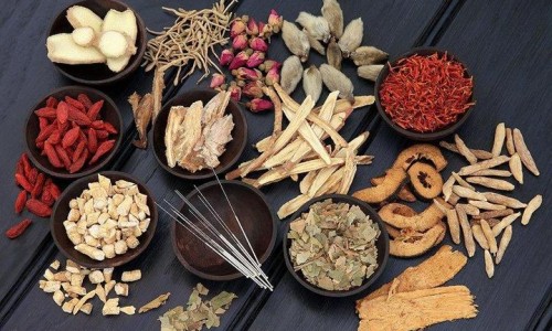 中药里生虫子-中药里面有活虫子网 - 网站提供中药里面有虫子是怎么回事小常识、中药里面有活虫子怎么办